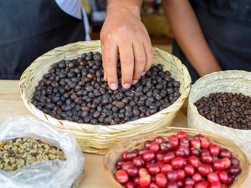 Coffee beans fair trade 1